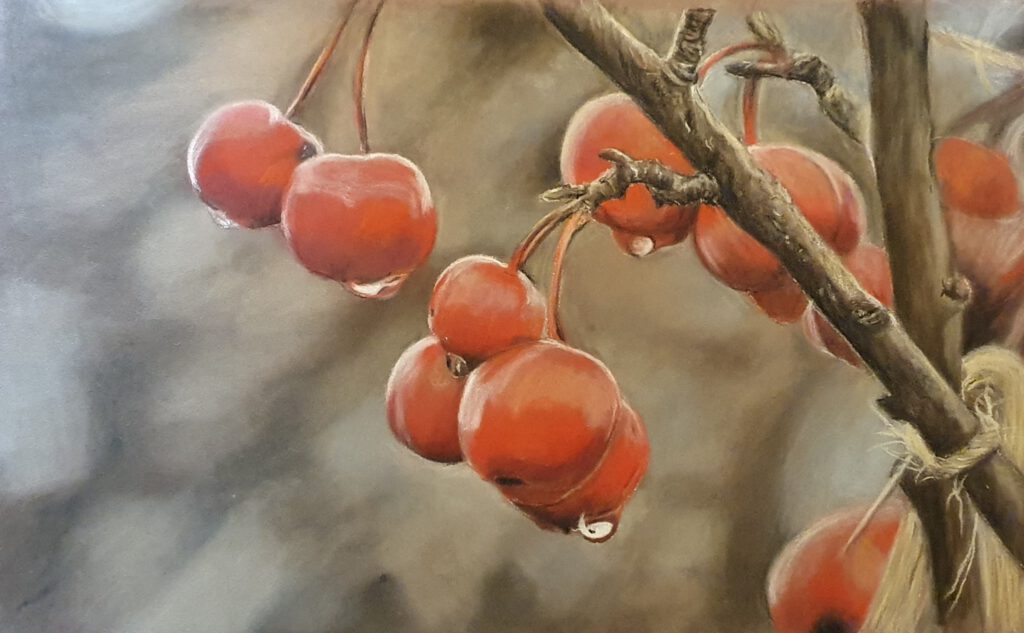 Tekening van kersen hangend aan boom