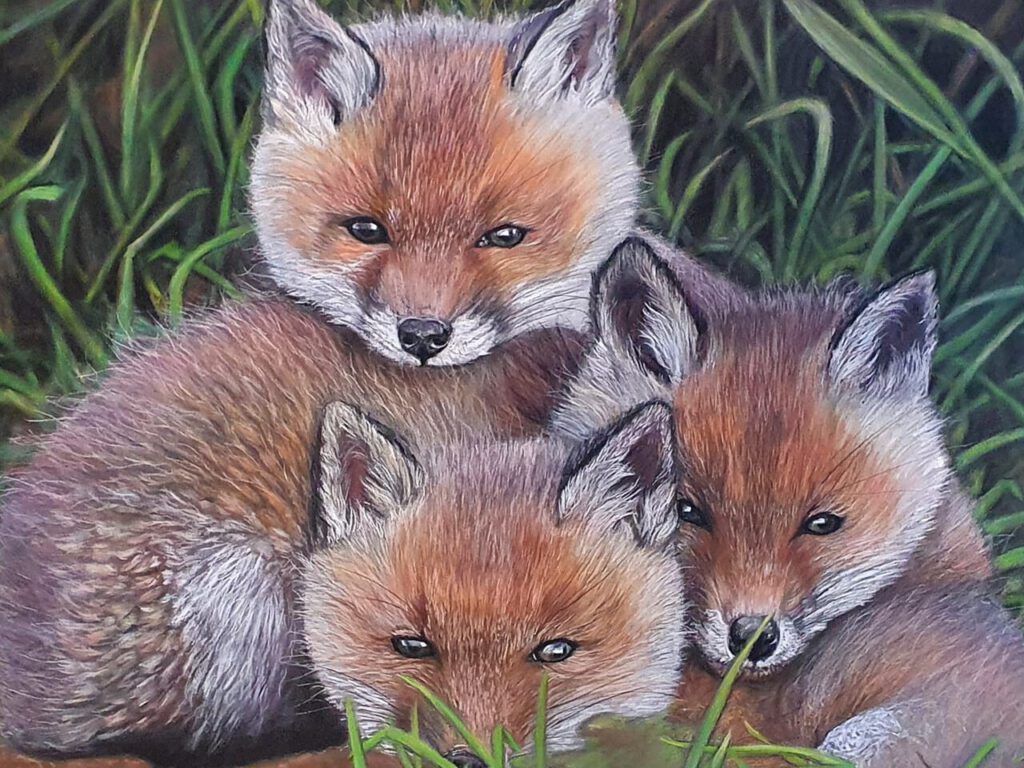 Vos familie getekend