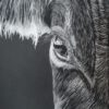 Dagworkshop ´Black and white´ 25 Januari 2025