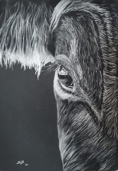 275601548_5013676415388778_3692347507290663172_n Dagworkshop ´Black and white´ 2 November 2025