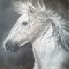 Dagworkshop ´Black and white´ 25 Januari 2025