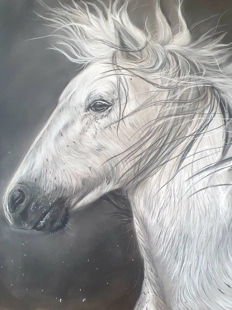 Wit paard getekend met pastel
