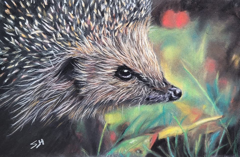 Kleine eekhoorn tekening
