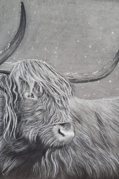 317762792_676926747291045_8115111418226887918_n Dagworkshop ´Black and white´ 2 November 2025