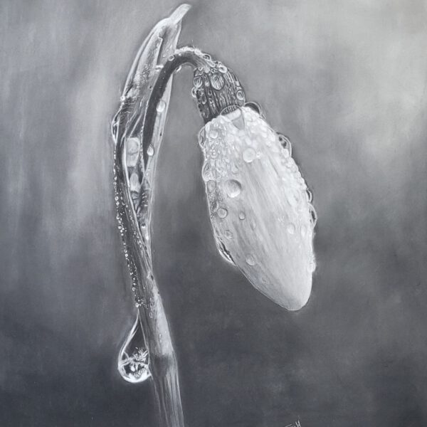 Dagworkshop ´Black and white´ 25 Januari 2025