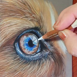 dierendag special 4 oktober! 'animals eye' met high tea Cursus ´ Start and expansion' Start 7 April 2026 ( TE BOEKEN VANAF 1 JANUARI)