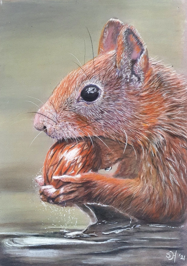 Tekening van Eekhoorn die noot opeet