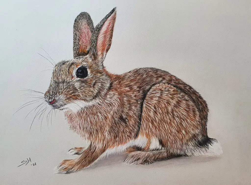 Bruin konijn getekend door Creatief met Pastel