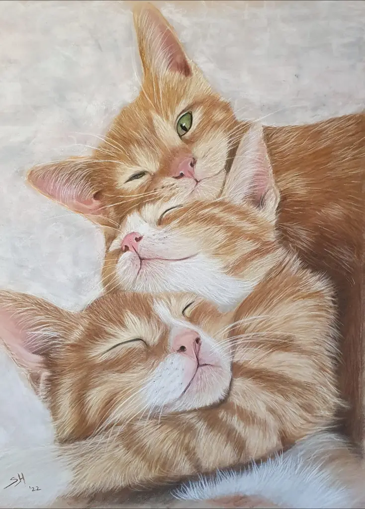 Tekening van drie oranje kittens