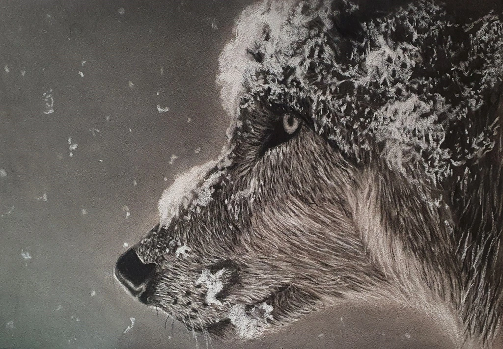 Tekening van een wolf in de sneeuw