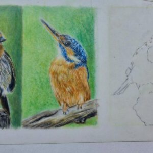 middagworkshop ´miniatuur tekenen met kleurpotloden´ 25 april 2026(te boeken vanaf 1 januari) Middagworkshop ´miniatuur tekenen met kleurpotloden´  25 April (TE BOEKEN VANAF 1 JANUARI)