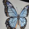 Cursus ´Mixed Media Magic´ – Insect Edition. Start 4 November 2026