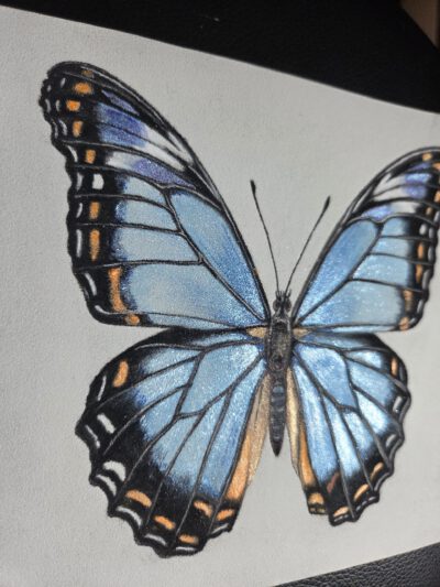 Cursus ´Mixed Media Magic´ – Insect Edition. Start 4 November 2026