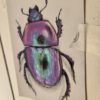 Cursus ´Mixed Media Magic´ – Insect Edition. Start 4 November 2026
