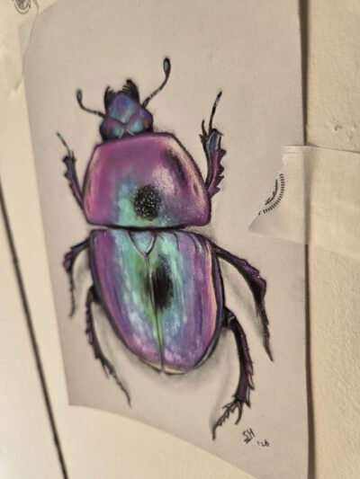 Cursus ´Mixed Media Magic´ – Insect Edition. Start 4 November 2026