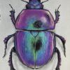 Cursus ´Mixed Media Magic´ – Insect Edition. Start 4 November 2026