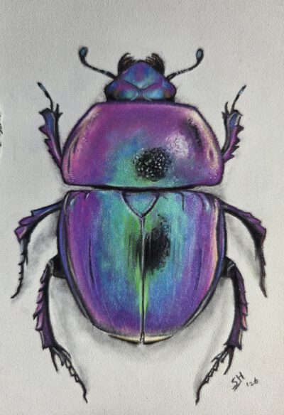 Cursus ´Mixed Media Magic´ – Insect Edition. Start 4 November 2026