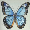Cursus ´Mixed Media Magic´ – Insect Edition. Start 4 November 2026