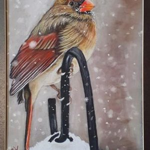 Dagworkshop ´Vogeltjes in de winter´  29 November 2025