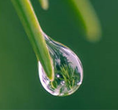 Cursus ´ Start and expansion'  Start 7 April 2026 ( TE BOEKEN VANAF 1 JANUARI)