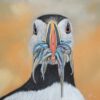 Dagworkshop ´Realistisch dieren tekenen met pastels´  16 Februari 2025