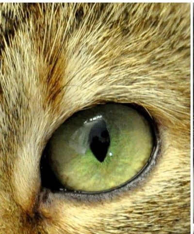 Cursus ´ Start and expansion'  Start 7 April 2026 ( TE BOEKEN VANAF 1 JANUARI)