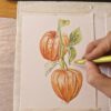 Middagworkshop 'Botanisch tekenen met pastel'  21 Maart 2025