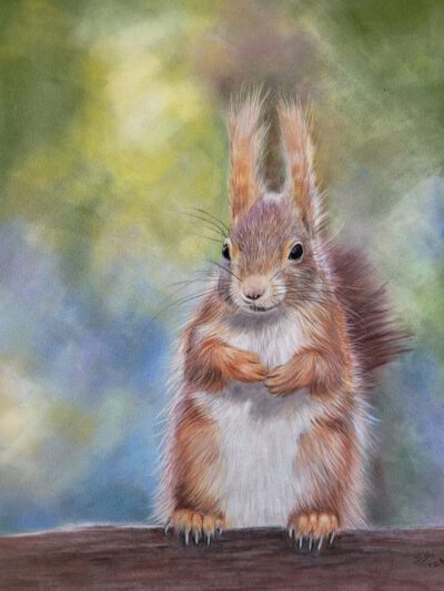 Tekening van eekhoorn