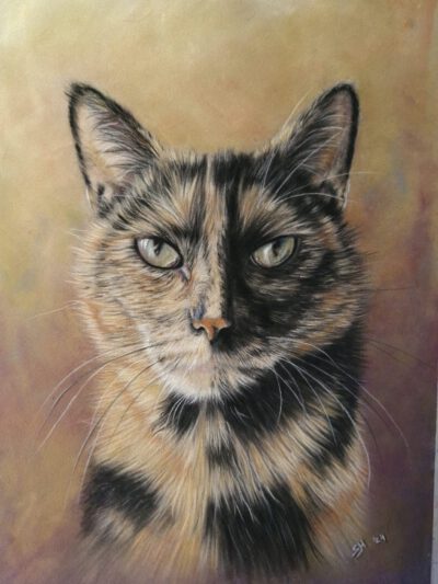 Dagworkshop ´Realistisch dier tekenen´ op velours papier. 7 Februari (TE BOEKEN VANAF 1 JANUARI)