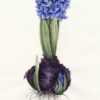Middagworkshop 'Botanisch tekenen met pastel'  21 Maart 2025