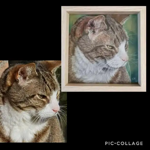 Pastel tekening van kat "Jinx"