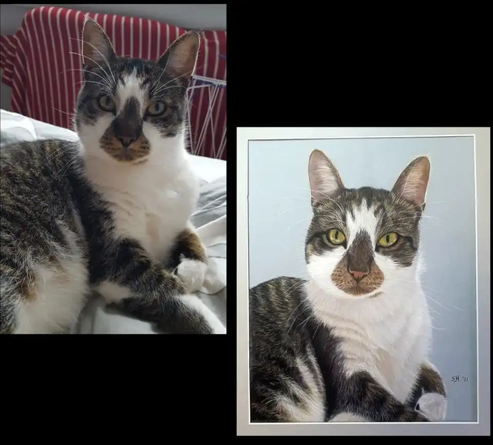 Kat tekening gemaakt van Tesla