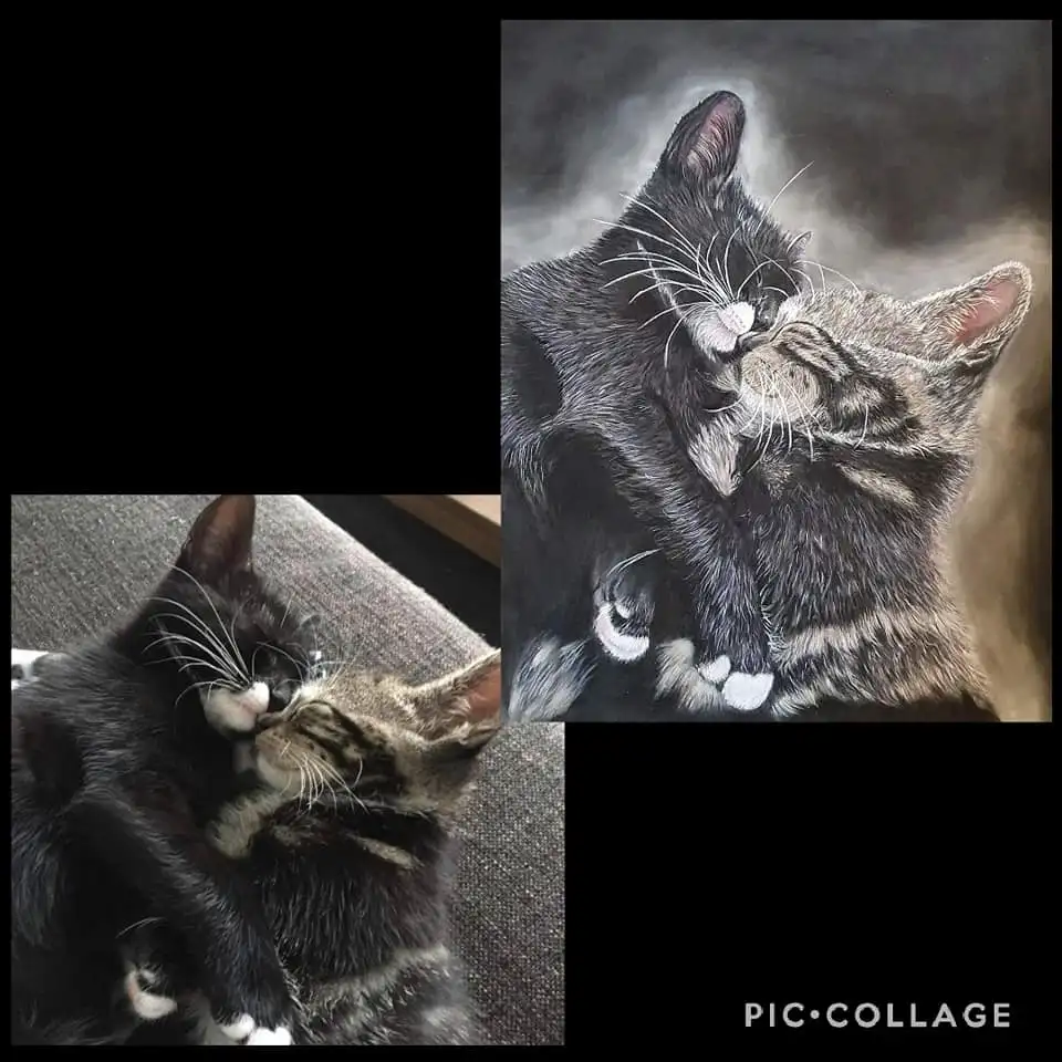 Tekening gemaakt van twee knuffelende kittens