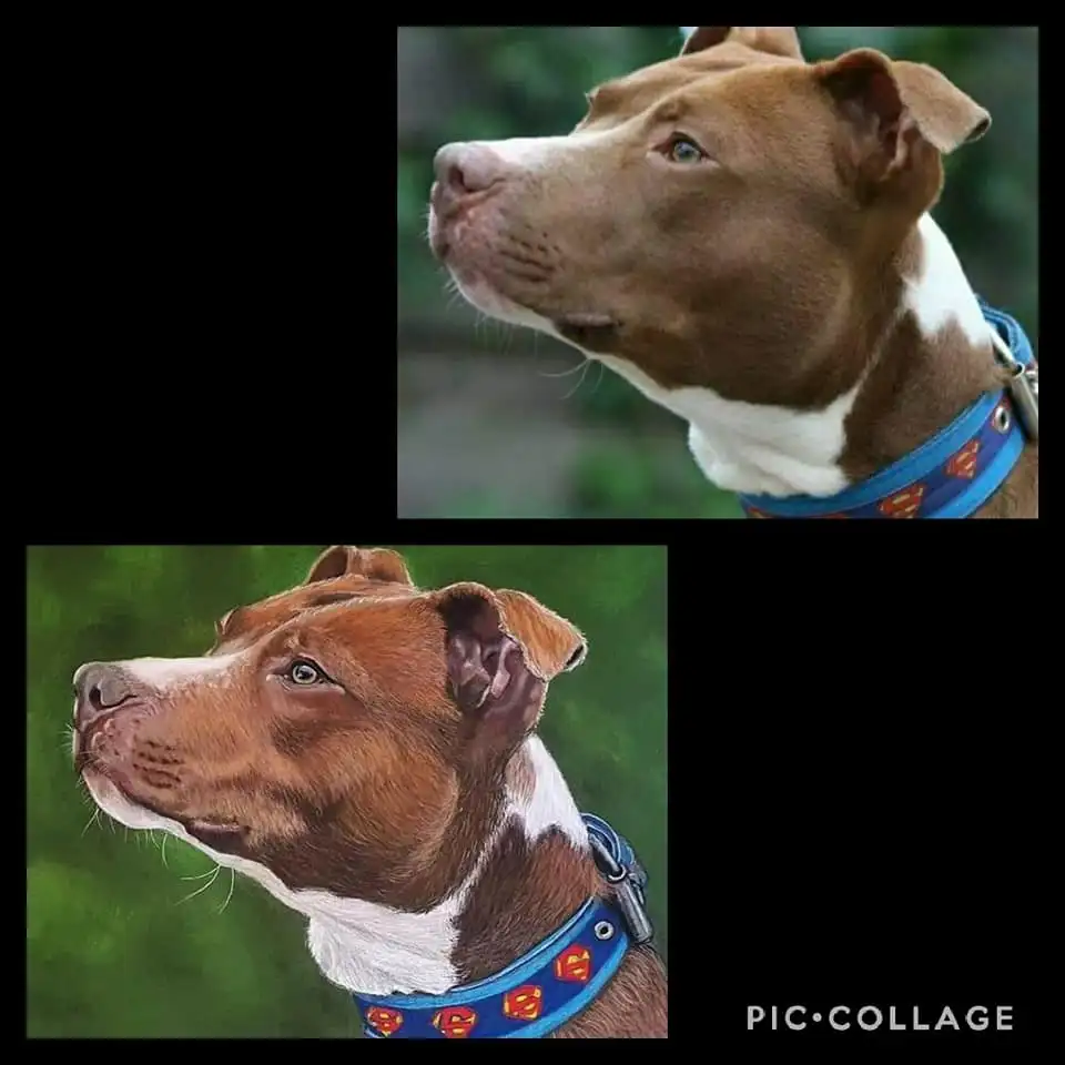 Tekening van een hond gemaakt op basis van een foto