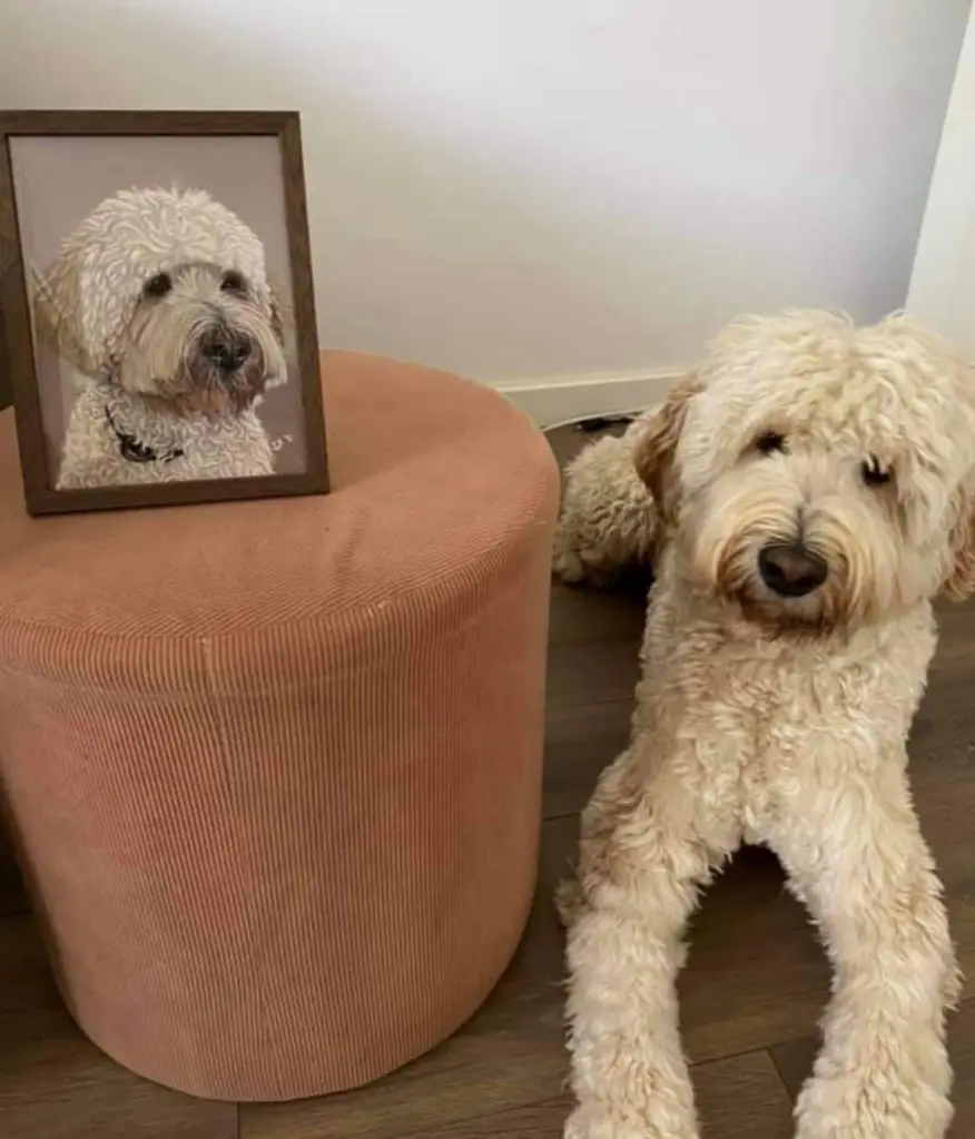 Witte hond zittend naast tekening van hem