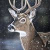 Cursus ´kerstmagie in pastel' - Start 4 November 2026