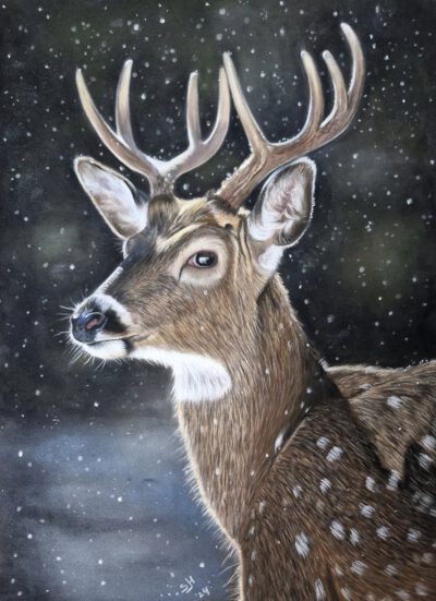 Cursus ´kerstmagie in pastel' - Start 4 November 2026
