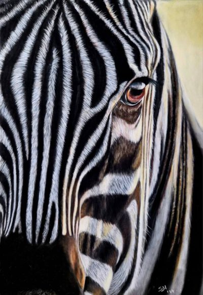 Wenskaart { Zebra }