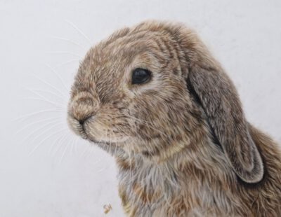 Wenskaart { Fluffy konijntje }