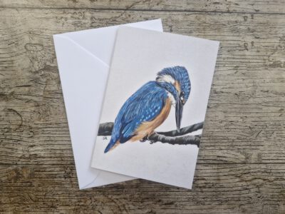 Wenskaart { IJsvogeltje }