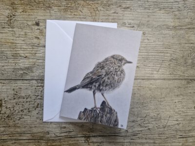 Wenskaart { Heggemus }