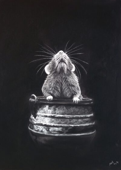 Wenskaart { Into the dark }