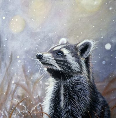 Wenskaart { Wasbeer }