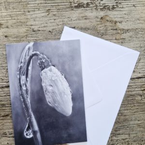 Wenskaart { Raindrops }