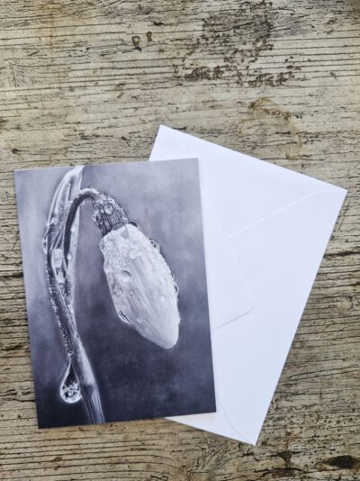 Wenskaart { Raindrops }