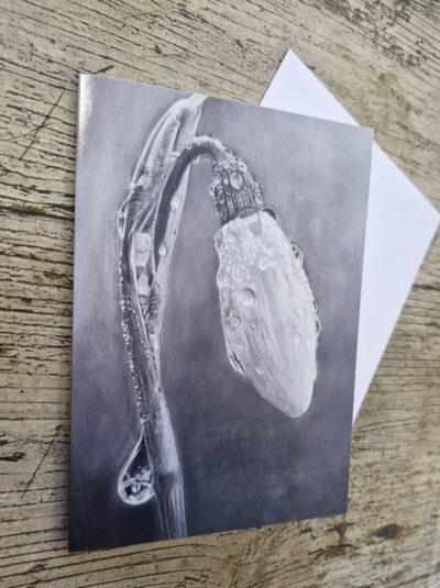 Wenskaart { Raindrops }