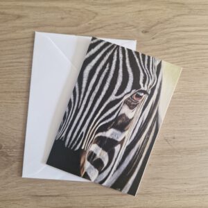 Wenskaart { Zebra }