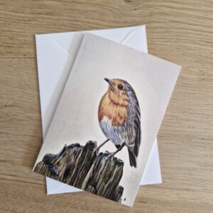 Wenskaart { Roodborstje }