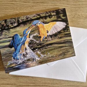 Wenskaart { IJsvogels }