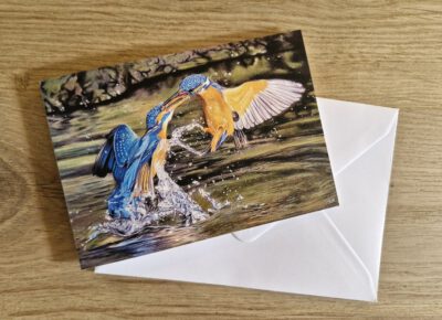 Wenskaart { IJsvogels }